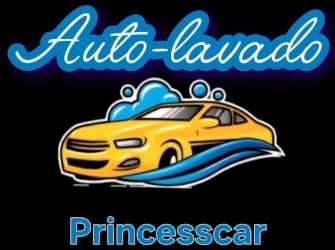 logo autolavado princesscar